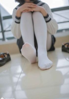 狐狸的故事
