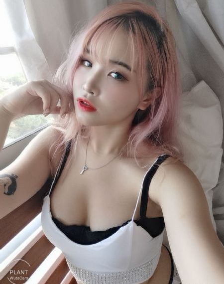 战火之花