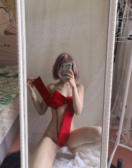 美丽的山茶花