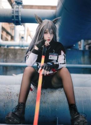 老虎田鸡老虎田雞