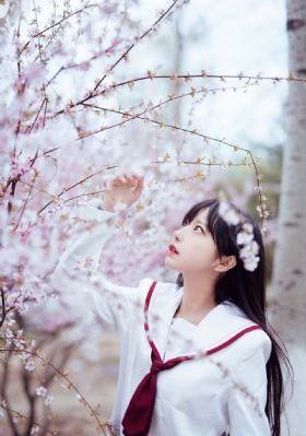 法中情